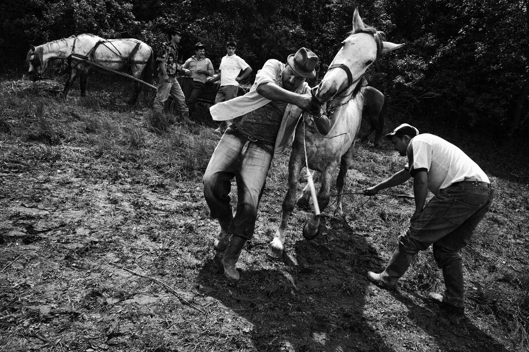 GYPSIES-IN-ROMANIA-08